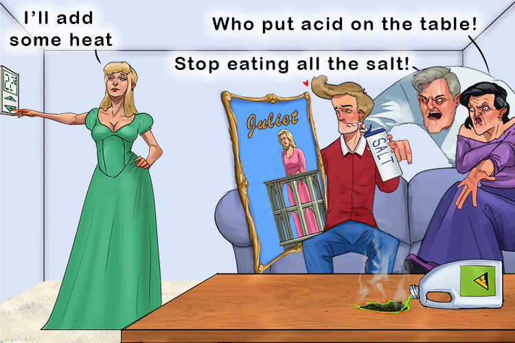 At home, Romeo stays with his sister (homeostasis) and parents who maintain constant internal conditions